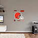 Cleveland Browns - RealBig Logo Collection - Official NFL - Reusable Vinyl Wall Decals MEDIUM +5 Decals (32.5’’W x