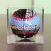 Globe Life Field Baseball Baseball + Case Shop All