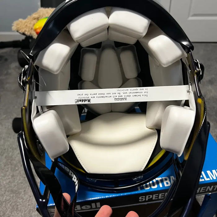 Michigan Wolverines Full Size Authentic Speed Football Helmet Painted Wings-NCAA Helmets