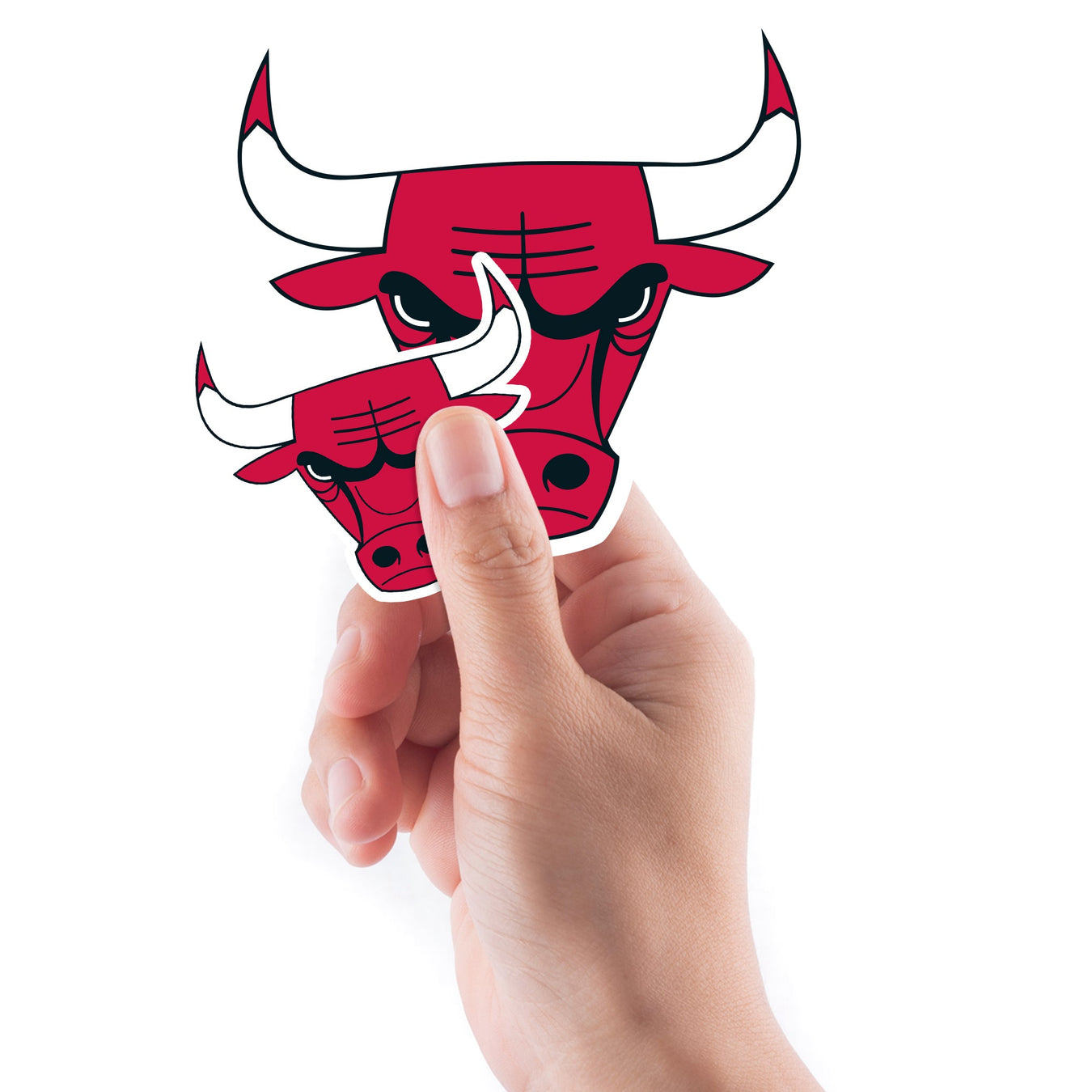 Chicago Bulls