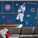 Pete Crow-Armstrong - RealBig Collection - Official MLB - Chicago Cubs - Reusable Vinyl Wall Decals Vinyl Die-Cut