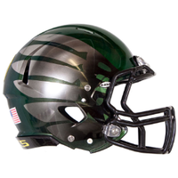 Oregon Ducks Titanium Thunder Speed Full Size Authentic Football Helmet - NCAA
