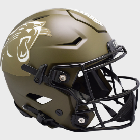Carolina Panthers SALUTE TO SERVICE Full Size Authentic Speedflex Helmet - NFL